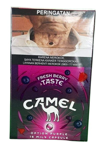 Camel Purple 16