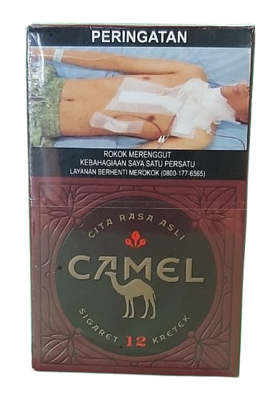 Camel Kretek 12